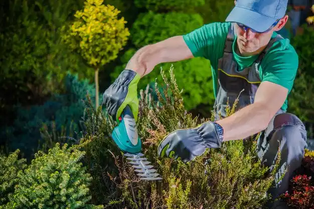 landscaping services Gallatin